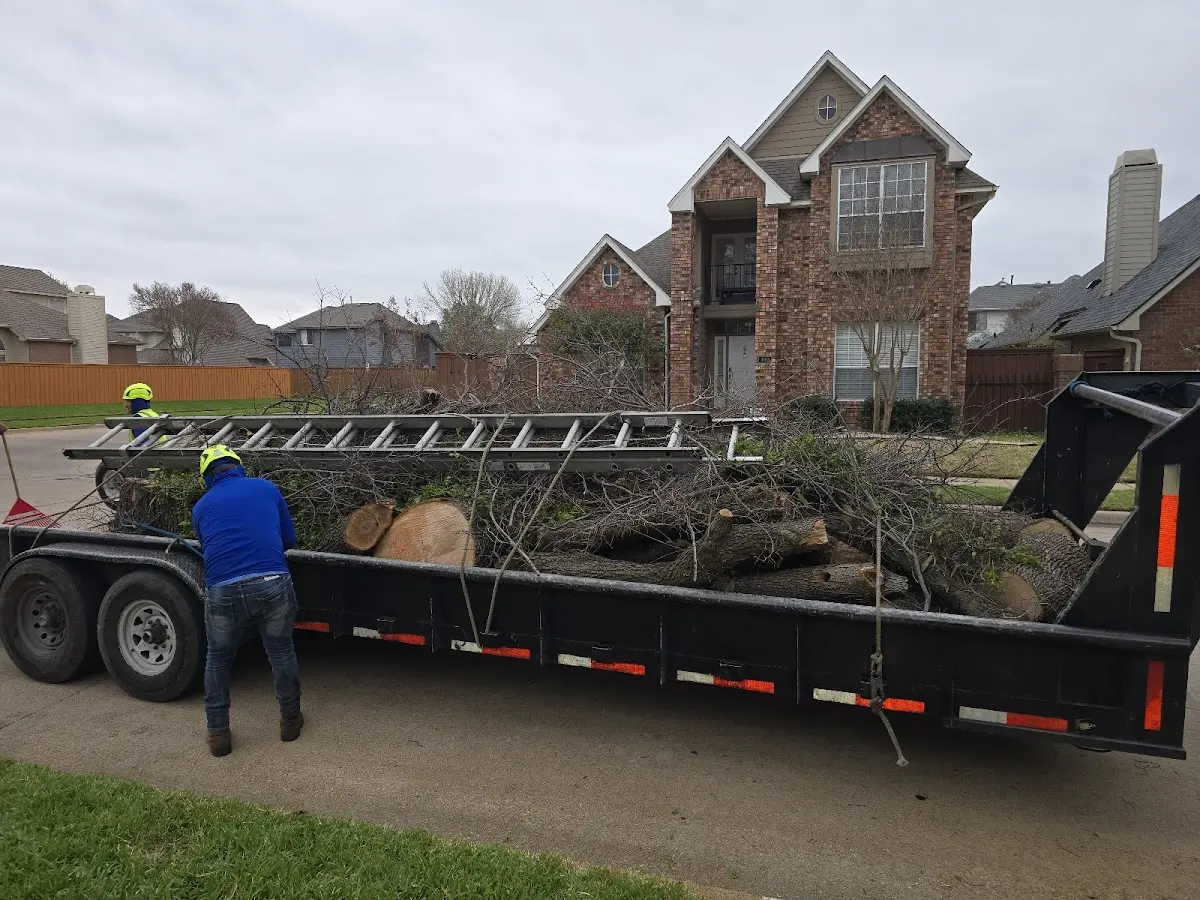 Expert Lot Clearing with proper safety equipment in New Market